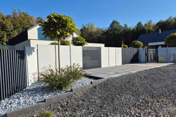 20241018_105931 20241018_105931