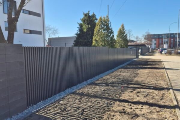 20250319_121957 20250319_121957